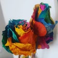 Dried rainbow dyed roses from Brazil