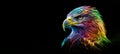 rainbow eagle portrait, panoramic layout.i