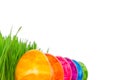 Rainbow Easter Eggs grass copyspace