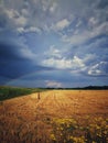 Rainbow at the end of summer