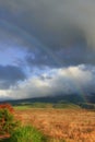 Rainbow ends in field after rain shower with no pot of gold, backdrop Maui mountains - Hawaii