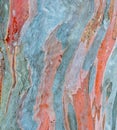 Rainbow eucalyptus tree bark