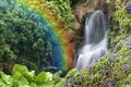 Rainbow Falls Royalty Free Stock Photo