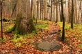 Rainbow Falls Trail