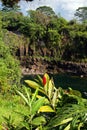 Rainbow Falls is a waterfall located in Hilo, Hawaii Royalty Free Stock Photo