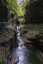 Rainbow Falls in Watkins Glen State Park (vertical) Royalty Free Stock Photo