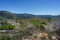 Yosemite Valley Panorama in Yosemite National Park, California Royalty Free Stock Photo