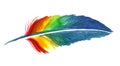 Rainbow feather