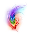 Rainbow feather on white Royalty Free Stock Photo