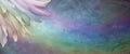 Rainbow feathers on rustic rainbow background banner