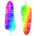 Rainbow feathers tribal textures isolated