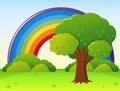 Rainbow field with tree in park