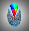 Rainbow Fingerprint Royalty Free Stock Photo