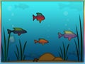 Rainbow Fish Aquarium Background