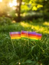 Rainbow flags placed in green grass with sunlight shining through the trees in the background Royalty Free Stock Photo