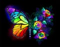 Rainbow flower butterfly on black background Royalty Free Stock Photo