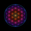 Rainbow Flower of Life design image, vector illustration. Royalty Free Stock Photo