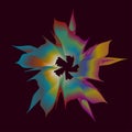 Rainbow flower volumetric color