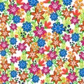 Rainbow flowers with white background