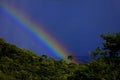 Rainbow in the forest