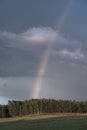 A rainbow forms over a forest after an afternoon thundershower Royalty Free Stock Photo