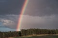 A rainbow forms over a forest after an afternoon thundershower Royalty Free Stock Photo