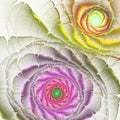 Rainbow fractal flower