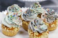 rainbow frosted vanilla flavored cupcake or muffin with sprinkles Royalty Free Stock Photo