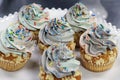 rainbow frosted vanilla flavored cupcake or muffin with sprinkles Royalty Free Stock Photo