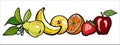 Rainbow fruits vector set isolated. Whole strawberry banana pear orange apple leaves. Fruits collection hand drawn food