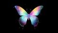 Rainbow Galaxy Butterfly Illustration