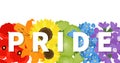A rainbow flower garden with the word pride, in a cut paper style with textures Royalty Free Stock Photo