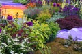 Rainbow garden Royalty Free Stock Photo
