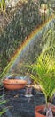 Rainbow garden Royalty Free Stock Photo