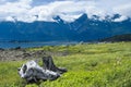 Rainbow Glacier In The Chilkat Range Near Haines, Alaska Royalty Free Stock Photo