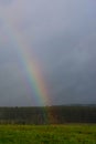 Rainbow growing from the power pole