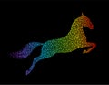 Rainbow horse