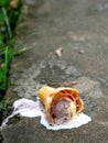 A rainbow ice cream cone dropped on the concrete floor and melting on ground in a summer day. with copy space for text Royalty Free Stock Photo