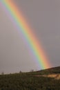 Rainbow in Ireland countryside Royalty Free Stock Photo
