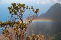 Rainbow at Kalalau lookout on Na Pali coast Royalty Free Stock Photo