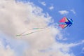 Rainbow kite flyes in the blue sky Royalty Free Stock Photo