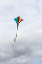 Rainbow kite Royalty Free Stock Photo