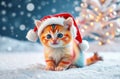 A Rainbow Kitten In The Snow At 12-1-2024 Royalty Free Stock Photo