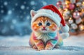 A Rainbow Kitten In The Snow At 12-1-2024 Royalty Free Stock Photo