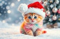 A Rainbow Kitten In The Snow At 12-1-2024 Royalty Free Stock Photo