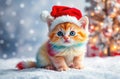 A Rainbow Kitten In The Snow At 12-1-2024 Royalty Free Stock Photo