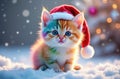 A Rainbow Kitten In The Snow At 12-1-2024 Royalty Free Stock Photo