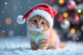 A Rainbow Kitten In The Snow At 12-1-21024 Royalty Free Stock Photo