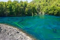 Rainbow lake in Conguillio National Park, Chile