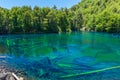 Rainbow lake, Conguillio National Park in Chile